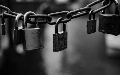 Boots on the Ground: What We’re Seeing